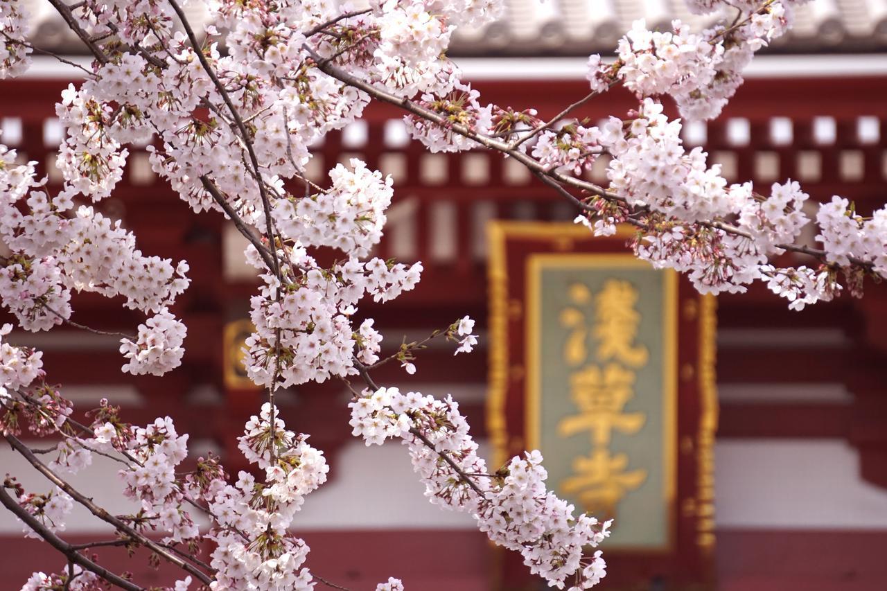 Grids酒店&旅舍-东京浅草桥 旅馆 *